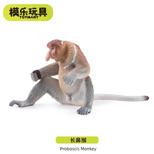模乐玩具TOYMANY长鼻猴灵长类系列野生仿真动物模型猴子儿童玩具