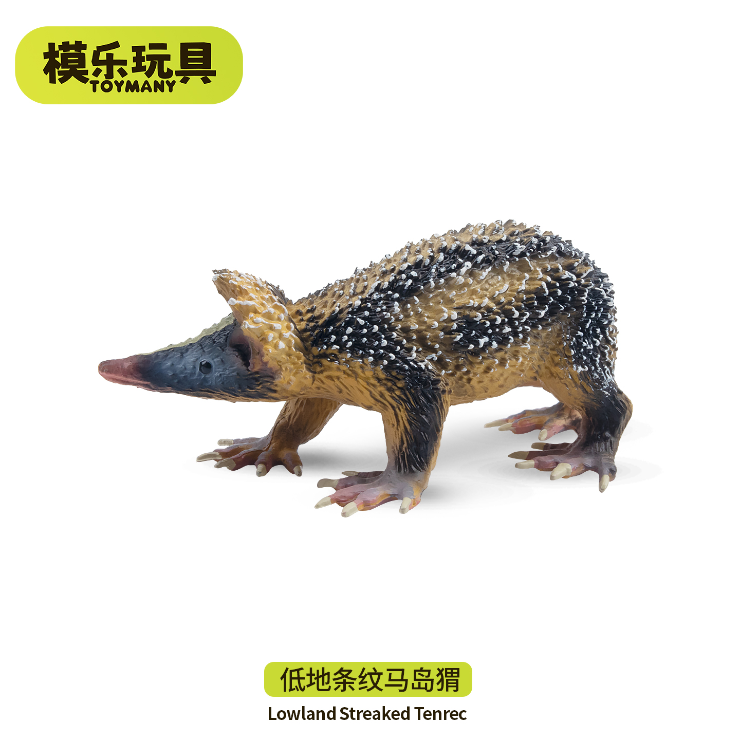 模乐玩具TOYMANY马达加斯加野生仿真动物模型低地条纹马岛猬玩具
