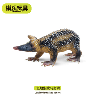 模乐玩具TOYMANY马达加斯加野生仿真动物模型低地条纹马岛猬玩具
