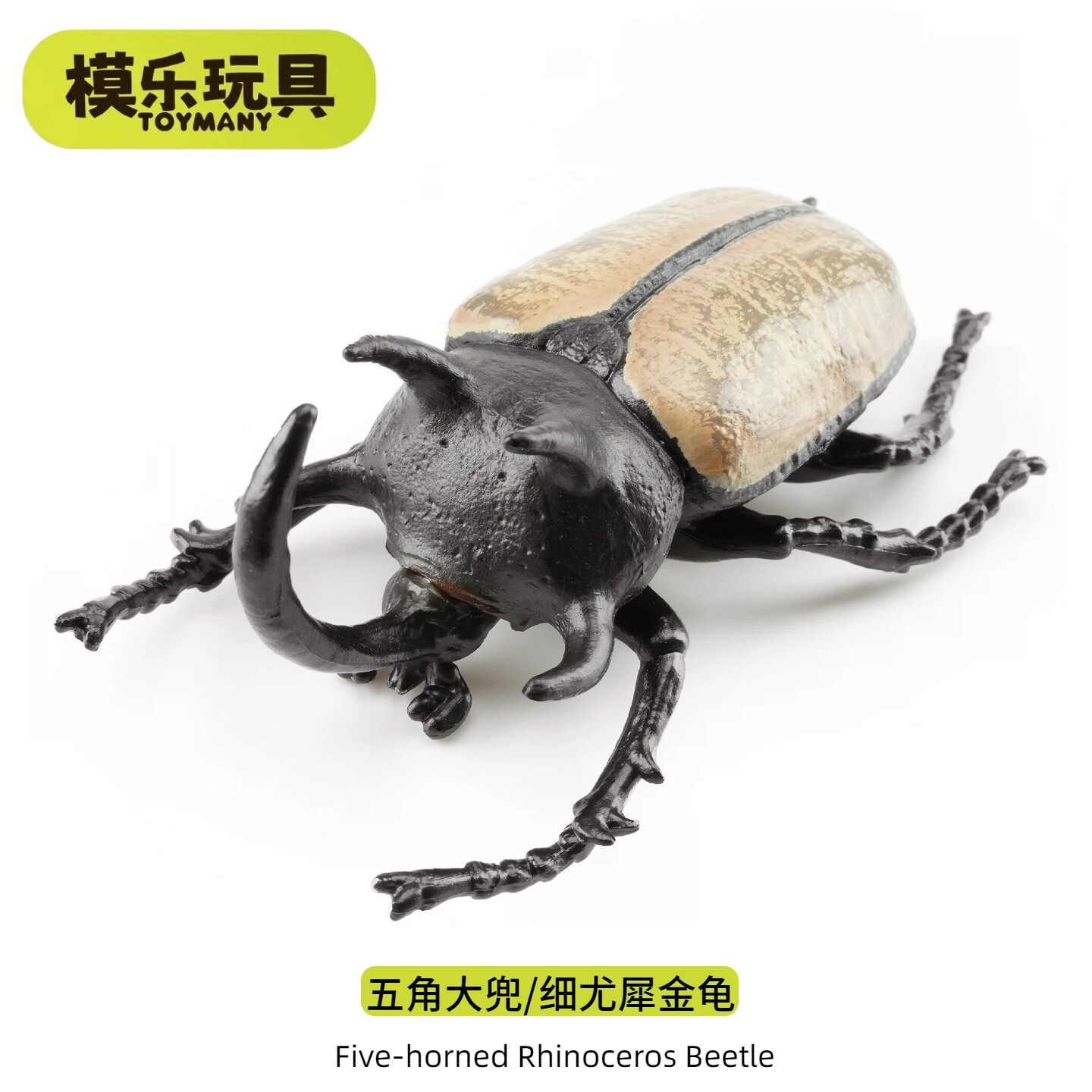 模乐玩具TOYMANY五角大兜虫仿真动物昆虫甲虫模型细尤犀金龟玩具