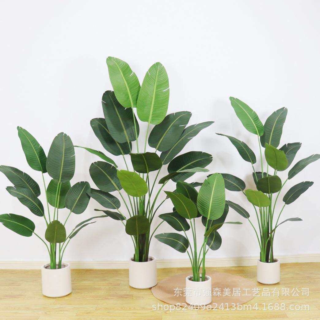 旅人蕉盆栽仿真植物大型天堂鸟室内外造景装饰摆放假树旅人蕉