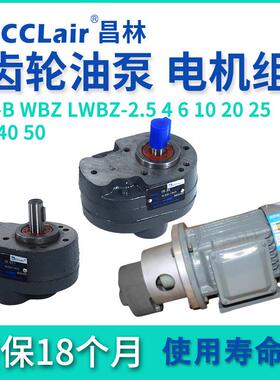 CB-B6齿轮泵4液压LWBZ油泵10B16BM20B25B32B40B50B63B80B100125R