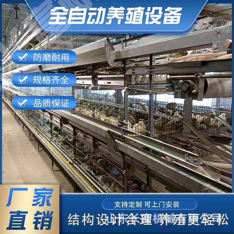 鸡笼蛋鸡笼层叠式养鸡设备立式自动四层清粪鸽子笼鹌鹑养殖育雏笼