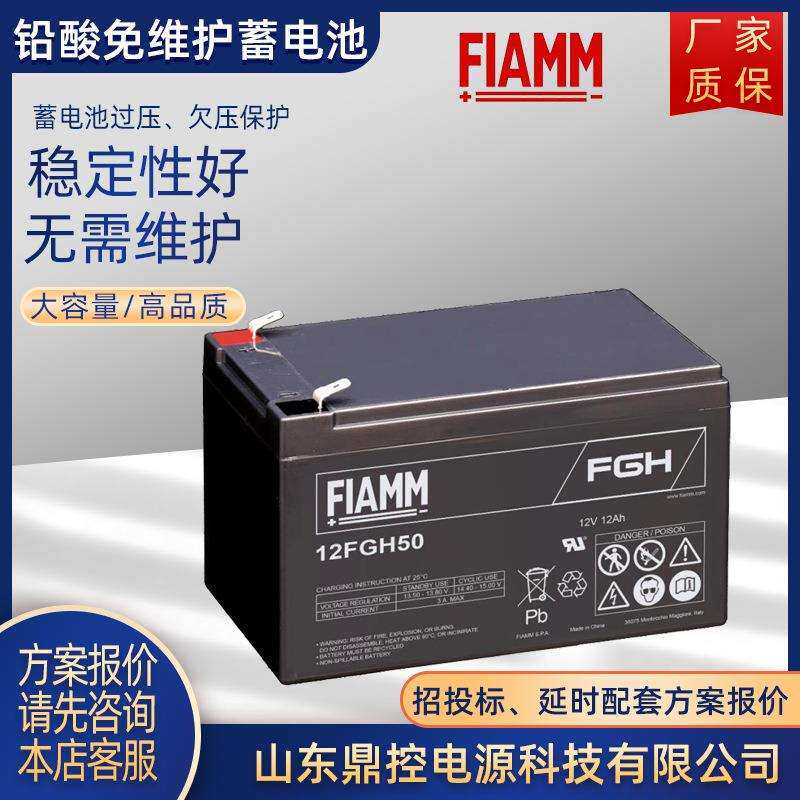 FIAMM非凡2XL800铅酸免维护蓄电池2V800AH直流屏风电场升压站维修