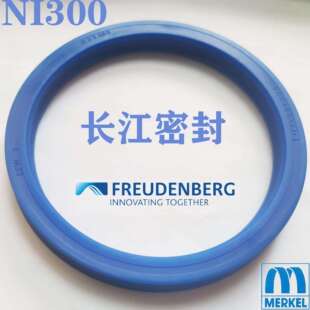 德国油封NI300160-185-1670-85-10CFWA1N3911928-38-8