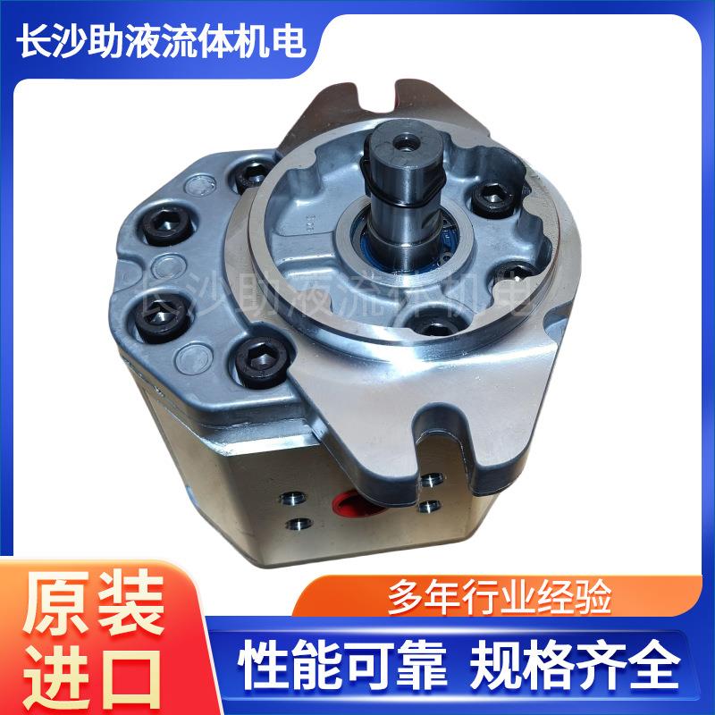 ALP3A系列高压泵ALP3A-D-50大流量液压油泵压路机油泵现货