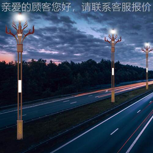 LJC-市政-ED玉政兰灯中灯 8米照市工程广场道路公园华户外明景观