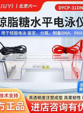 北京六一DYCP-31DN凝胶实验室电泳槽电源琼脂糖水平垂直电泳仪