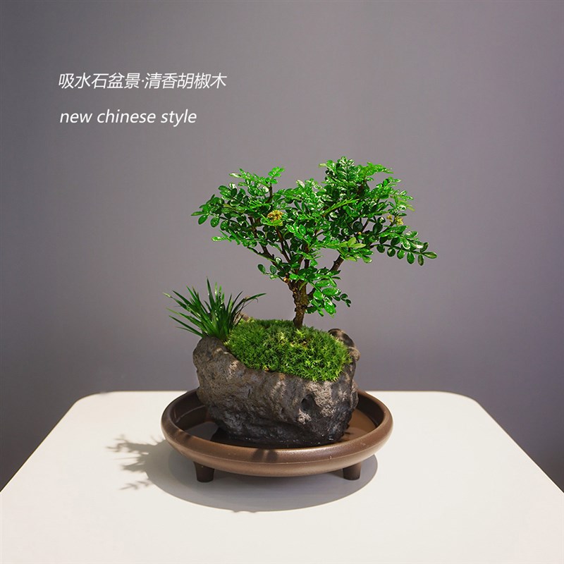 吸水石花盆胡椒木盆栽室内小盆景石头盆绿植茶室桌面创意植物摆件