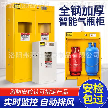 厂家直实室气瓶柜气智能报警液化煤气FLS-MQP罐乙炔气验体安全柜