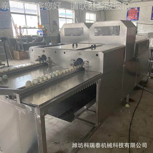 多UPZ清型号蛋鸭蛋动清洗机自 大型商用洗蛋机鸡 自动上蛋洗线
