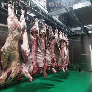 大型冷库安装 肉排酸保鲜库 屠场532库建造 畜冷宰牧屠鲜宰冷藏