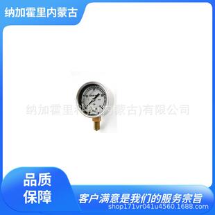 60φx10MPa YODOGAWAKEIKI淀川计器压力计LDGU PF1