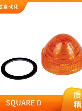 SQUARED安全开关9001SKR1RH13电子元器件系列直供