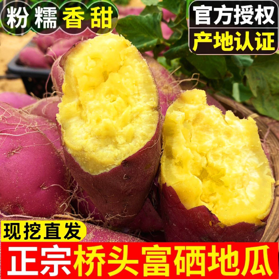 【海南澄迈桥头】富硒沙地板栗红薯地瓜5斤装现挖现发甜糯无筋