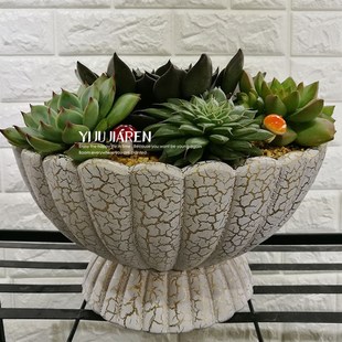 欧式 创意室内多肉陶瓷花盆大号园林工艺绿萝陶瓷多肉拼盘花盆有孔