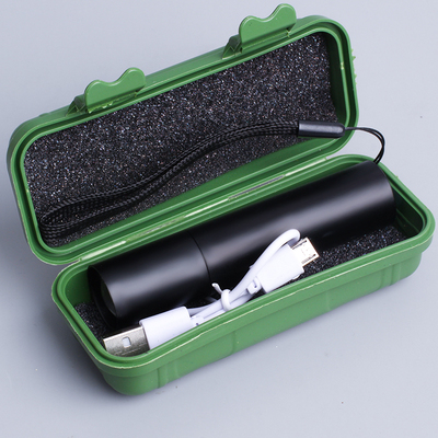 儿童手电筒小型迷你便携学生宿舍看书防护眼不伤眼家用耐用电池款