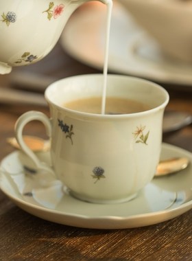 现货德国Seltmann Weiden欧式陶瓷 咖啡杯茶杯杯碟 彩色小花 水杯