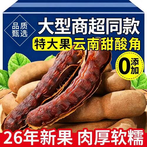 【单果10cm左右】特供甜酸角超大