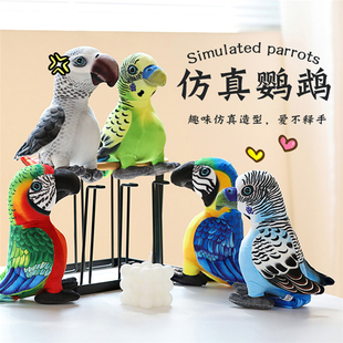 仿真鹦鹉玩偶毛绒玩具小鸟公仔金刚鹦鹉安抚娃娃儿童陪睡抱枕女生