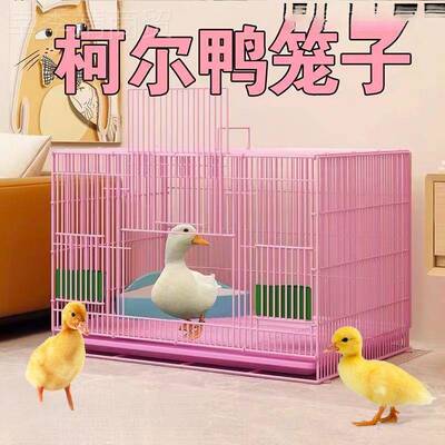 鸭内笼柯鸭专用家笼子尔小鸭子用室柯达防EZV臭鸡笼鹌鹑笼清仓