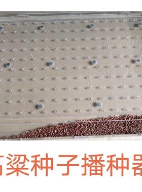 穴盘育苗器蔬菜烟种辣椒烤烟播种器甘蓝白菜漂浮盘播种神器点籽机