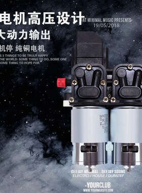 德国进口高压家用洗车机单双铜电机车载12v洗车水泵水枪220v洗车