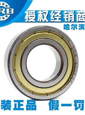 HRB哈尔滨轴承 16013 16014 16015 16016 16017 16018 ZZ 2RZ