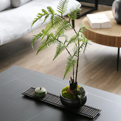 新侘寂风猴头蕨仿真绿植室内盆景样板间装 饰