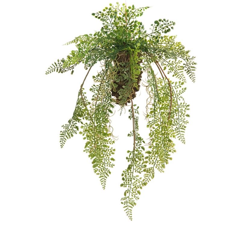 森泰仿真蕨类垂吊植物装饰室内绿植壁挂花假花藤条橱窗装饰森系