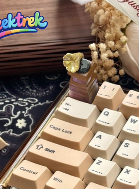 Seektrek留声机键帽复古个性化键盘创意圆润ESC金属金色男生礼物