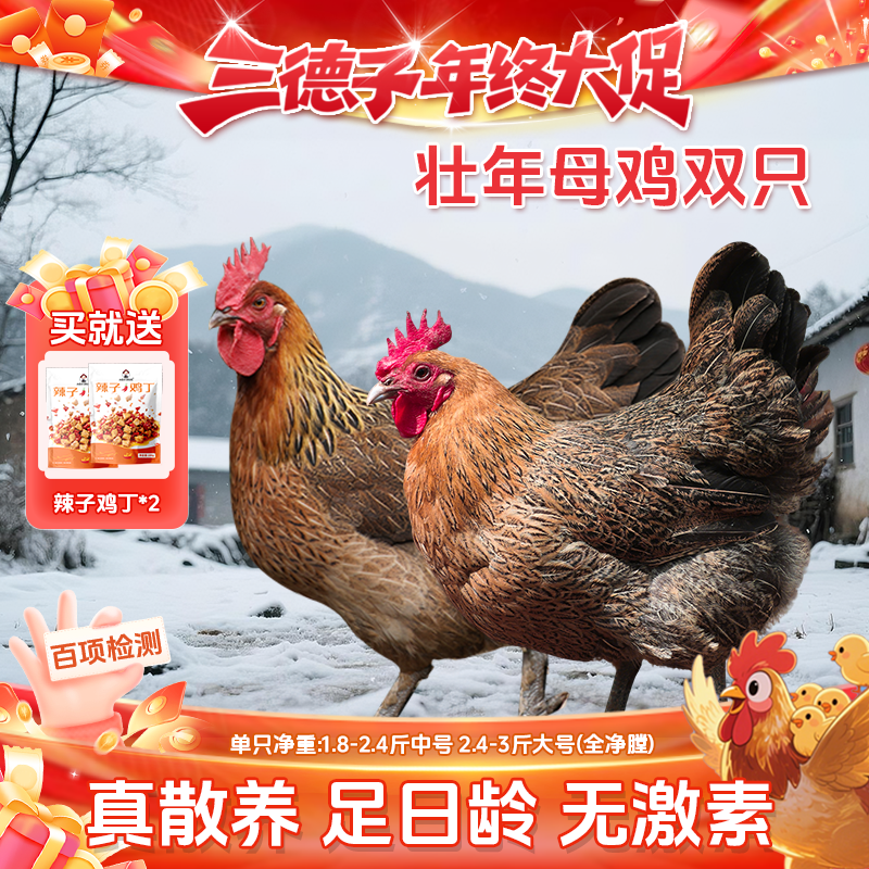 三德子老母鸡【赠辣子鸡丁】 散养土鸡走地鸡慢养350天月子鸡汤