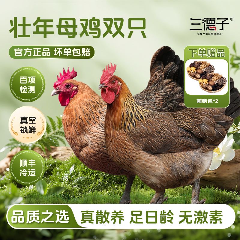三德子老母鸡【双只】 散养土鸡走地鸡慢养350天月子鸡汤
