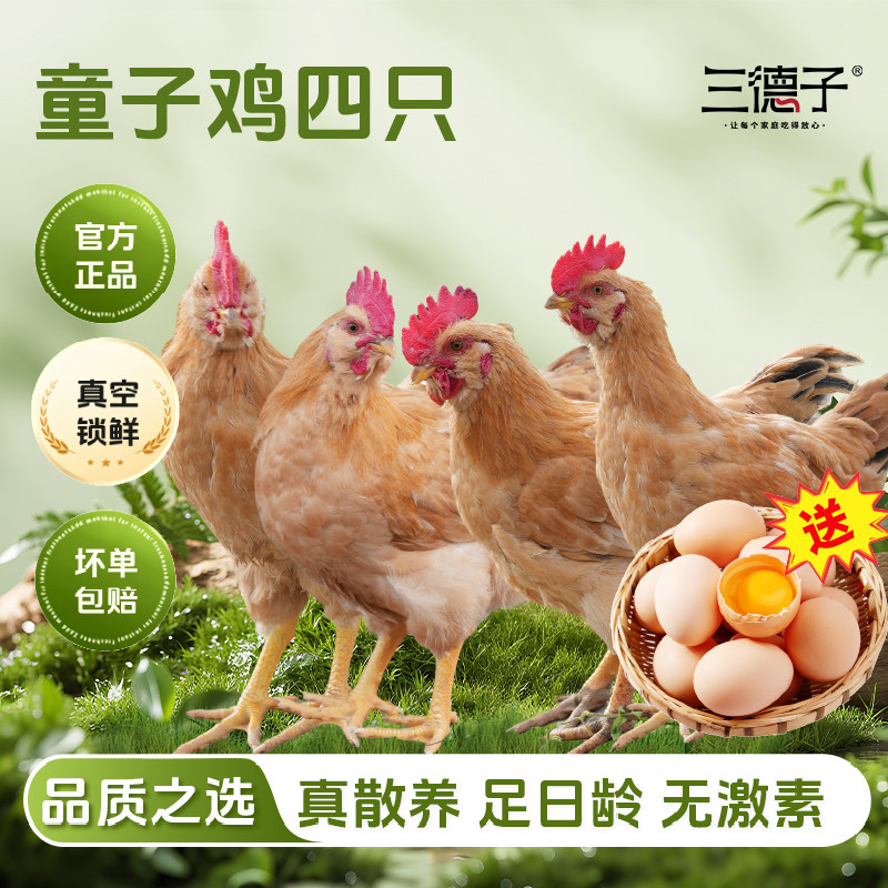三德子 大别山金寨童子鸡4只 农家散养土鸡仔公鸡新鲜宰杀鸡肉图片