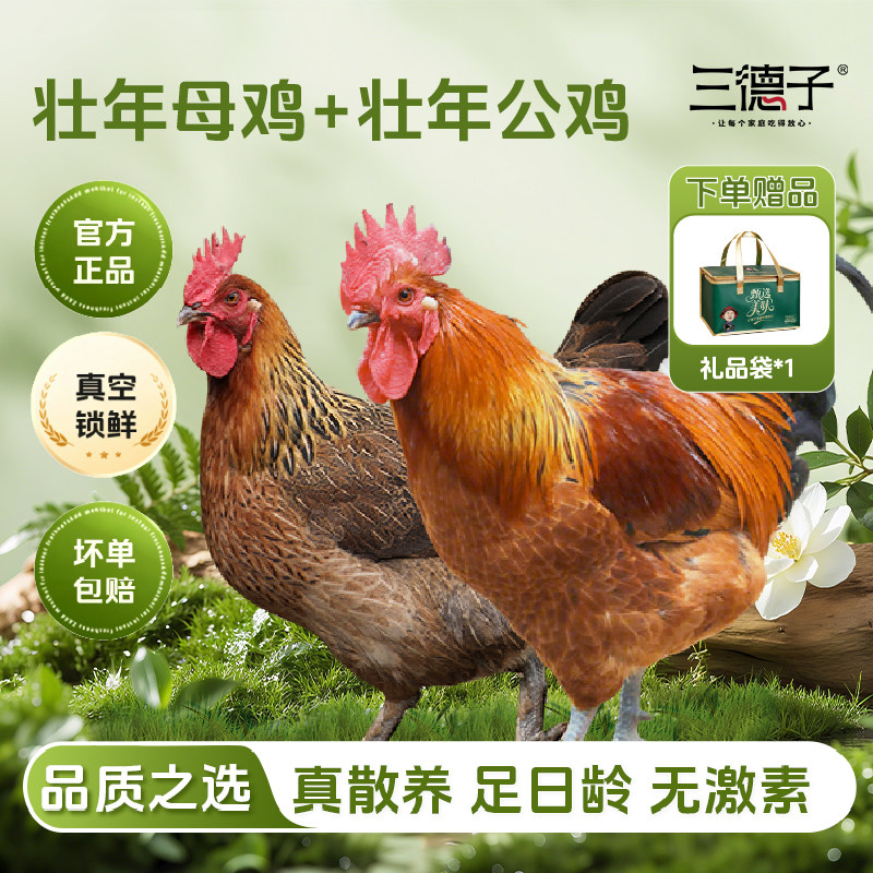 三德子 【壮年母鸡+壮年公鸡】散养土鸡大公鸡老母鸡我生鲜鸡肉图片