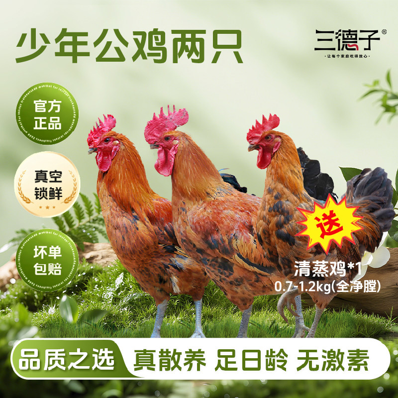 三德子雪山草鸡土鸡农家粮食散养走地鸡小公鸡生鲜整只鸡肉组合图片