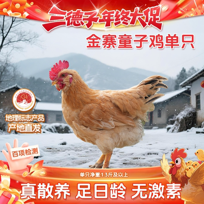 三德子 大别山金寨童子鸡 农家散养土鸡仔公鸡新鲜宰杀鸡肉