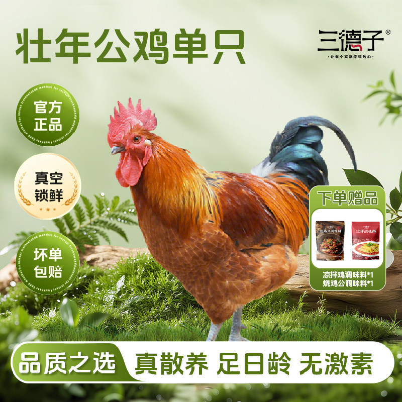 三德子生鲜 单只壮年大公鸡4.5-5.5斤农家粮食散养生鲜整只鸡肉
