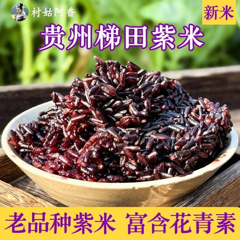 村姑阿香紫糯米新米梯田血糯米杂粮糯紫米粗粮糙米包邮老品种