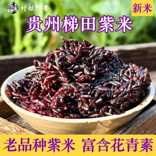 村姑阿香紫糯米新米梯田血糯米杂粮糯紫米粗粮糙米包邮老品种