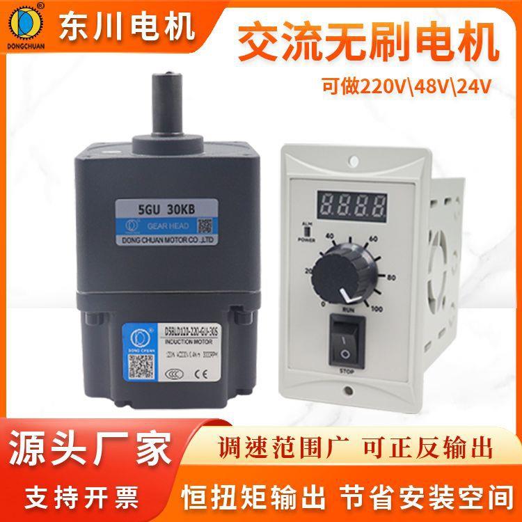 无刷调速电机220V恒扭矩可调变速减速电机低噪音高效控制器一体机