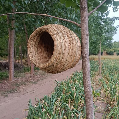 燕子鸟窝鸟巢户外室内屋檐燕巢冬天保暖草窝装饰悬挂式房子春用品