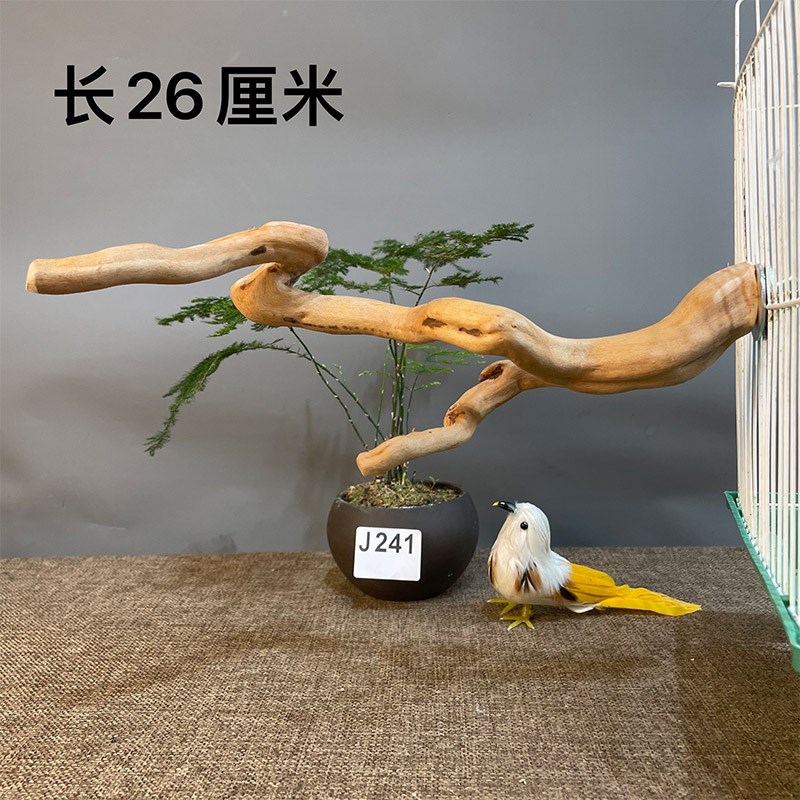 虎皮鹦鹉站杆鸟笼站杆玄风鸟站杆鹦鹦鹉爬架鹦鹉树枝鹦鹉拉屎站架
