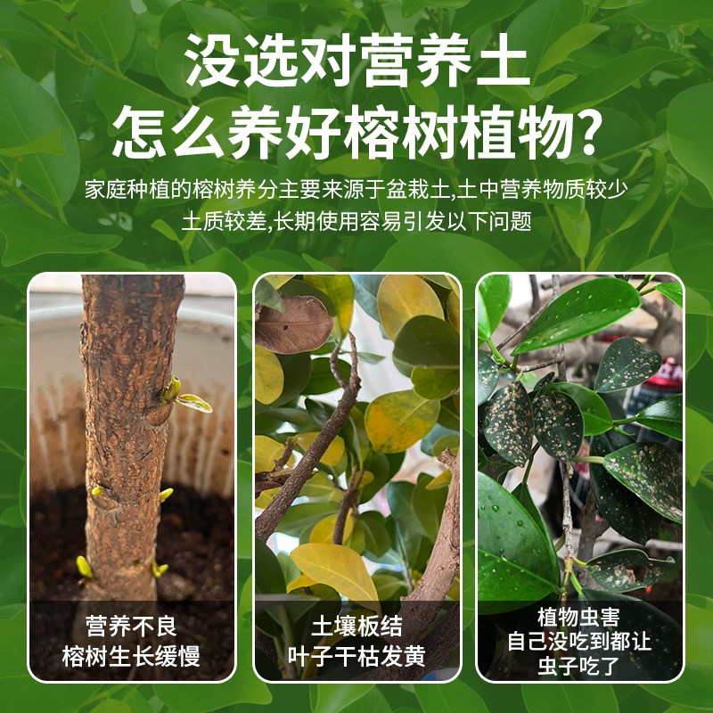 榕树专用营养土榕树肥料通用种植老桩榕树土盆景疏松透气有机土壤