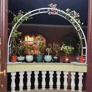 铁艺拱门花架大门爬藤架别墅拱门架子庭院门柱拱形花架定做门头