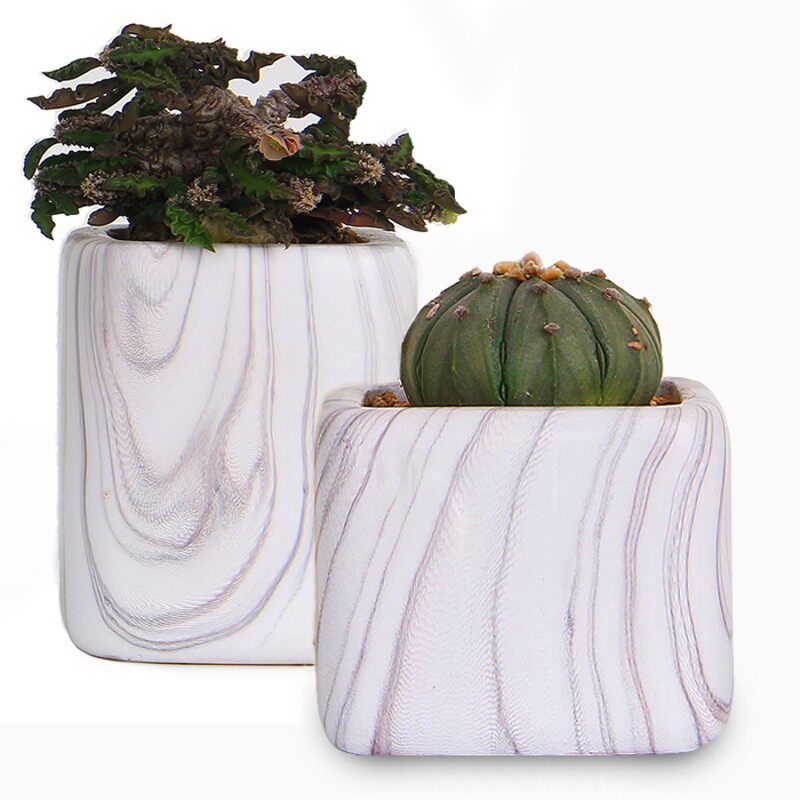 多肉植物室内水培绿萝吊兰创意简约肉肉盆栽陶瓷办公室欧式小花盆