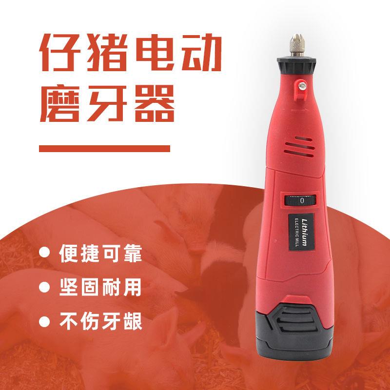 仔猪电动磨牙器猪用宠物狗