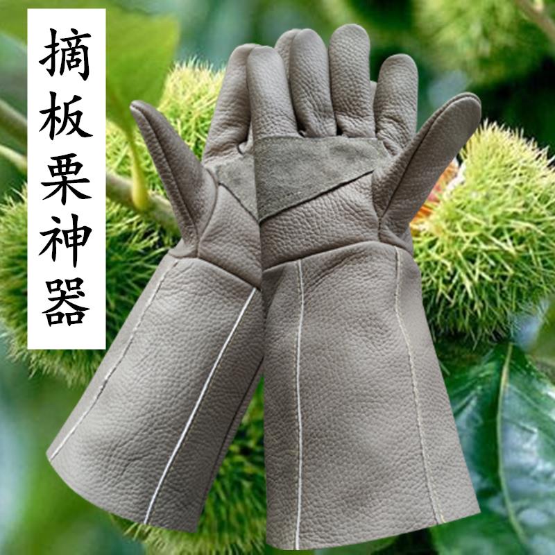 剥板栗防刺手套防扎伤摘板栗捡板栗专业防护耐磨牛皮厚手套护手