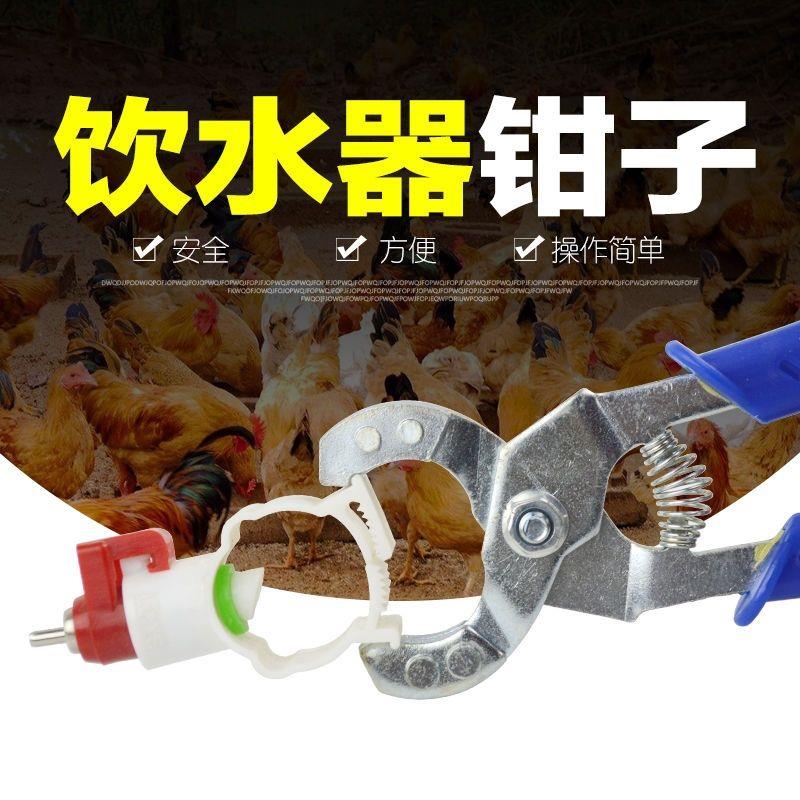 鸡用乳头饮水器安装钳鸡饮