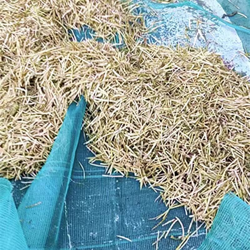 收菜籽神器打油菜懒人新发明新款可折叠打油菜布农用收菜籽过滤网
